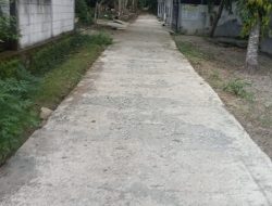 Waduh !!! Rabat Beton Desa Bangsri Rusak Parah, Diduga Dikerjakan Asal Asalan