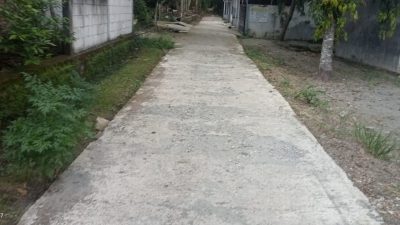 Waduh !!! Rabat Beton Desa Bangsri Rusak Parah, Diduga Dikerjakan Asal Asalan
