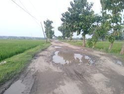 Jalan Penghubung Antar Dua Desa di Kecamatan Plandaan Rusak Parah