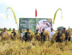 Jombang Turut Serta Sukseskan Panen Raya Serentak 2025