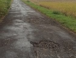 Parah !!! Jalan Lapen Desa Rejosopinggir Terpantau Rusak