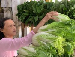 Jelang Lebaran Kurban, Harga Kebutuhan Dapur di Jombang Meroket