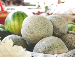 5 Manfaat Buah Semangka dan Buah Melon Bagi Kesehatan