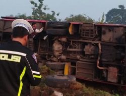 Laka Tunggal Bus Terguling di Tol Jombang, Begini Kondisi Belasan Penumpang