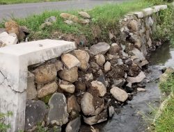 Diduga Dikerjakan Asal Asalan, TPJ di Peterongan Jombang Ambrol