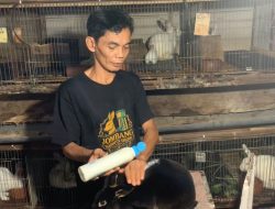Berawal dari Hobi Jadi Rezeki, Kisah Pria di Jombang yang Sukses Beternak Kelinci