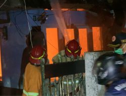 Si Jago Merah Melalap Rumah dan Toko Pakan di Jombang, Dua Orang Termasuk Petugas Damkar Pingsan