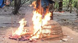 Aparat Gabungan, Musnakan Arena Perjudian Sabung Ayam di Desa Banjardowo Jombang
